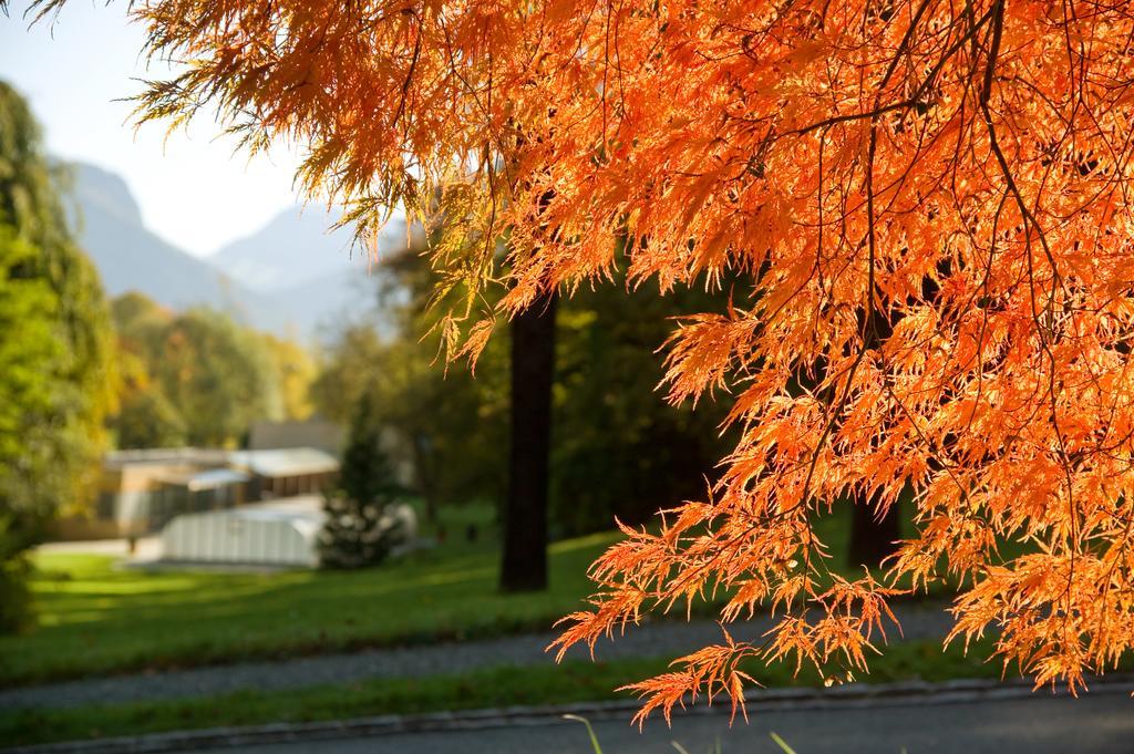 Hotel Schloss Ragaz Bad Ragaz Bagian luar foto